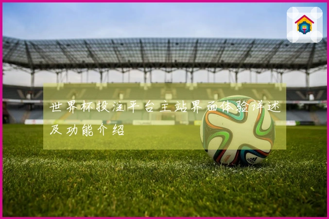 世界杯投注平台主站界面体验详述及功能介绍