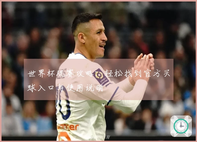 世界杯观赛攻略：轻松找到官方买球入口与使用说明