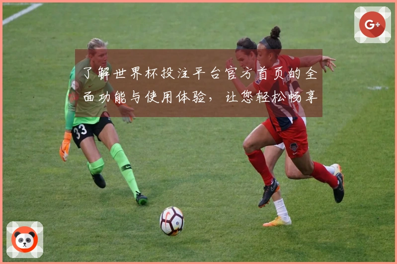 了解世界杯投注平台官方首页的全面功能与使用体验，让您轻松畅享赛事直播。
