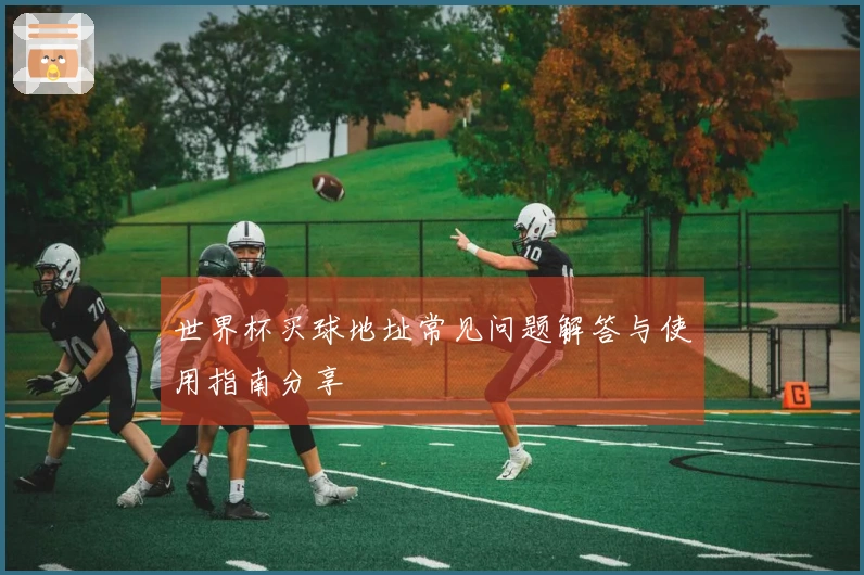世界杯买球地址常见问题解答与使用指南分享