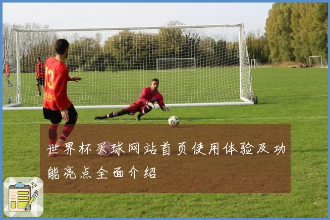 世界杯买球网站首页使用体验及功能亮点全面介绍