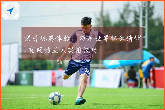 提升观赛体验，巧用世界杯竞猜APP官网的五大实用技巧