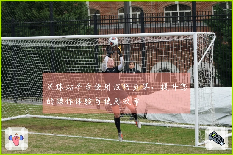 买球站平台使用技巧分享，提升您的操作体验与使用效率