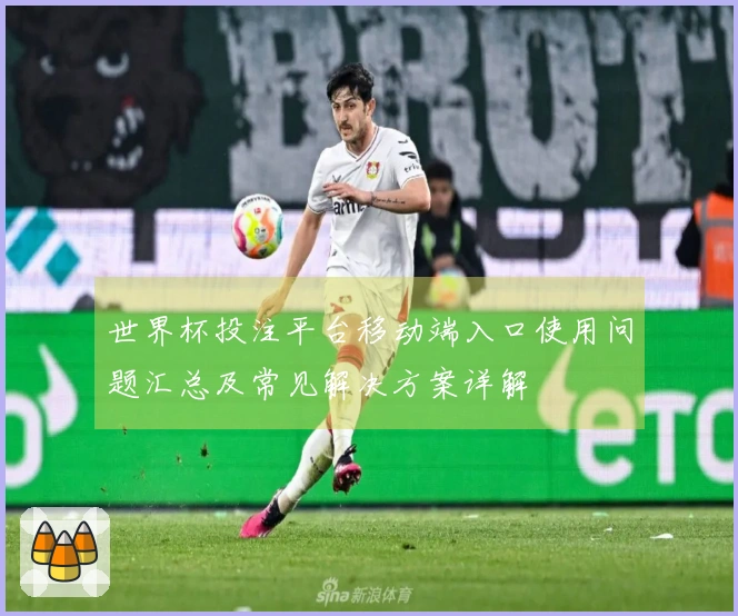 世界杯投注平台移动端入口使用问题汇总及常见解决方案详解