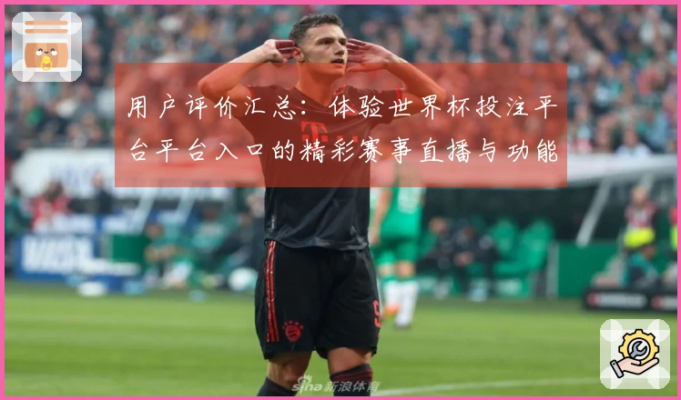 用户评价汇总：体验世界杯投注平台平台入口的精彩赛事直播与功能亮点