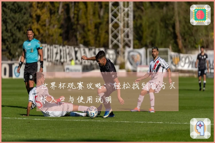 世界杯观赛攻略:轻松找到官方买球入口与使用说明