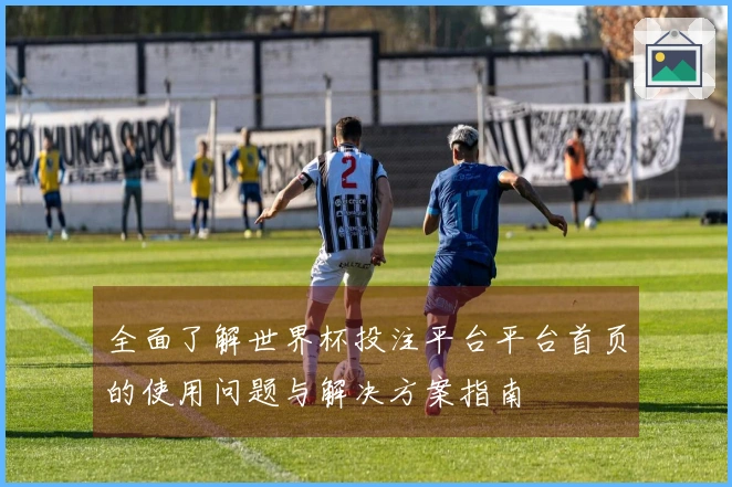 全面了解世界杯投注平台平台首页的使用问题与解决方案指南