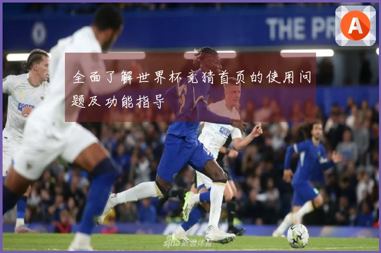 全面了解世界杯竞猜首页的使用问题及功能指导