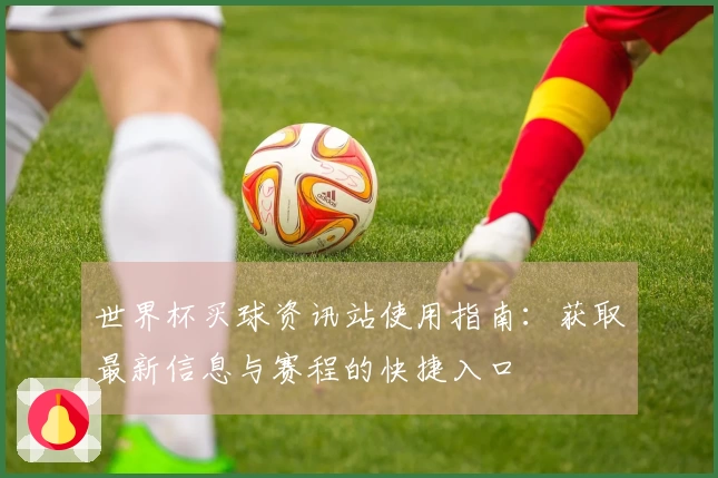 世界杯买球资讯站使用指南：获取最新信息与赛程的快捷入口