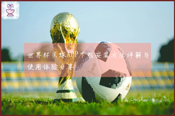 世界杯买球APP下载安装方法详解与使用体验分享