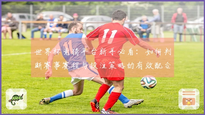 世界杯竞猜平台新手必看：如何判断赛事赛程与投注策略的有效配合