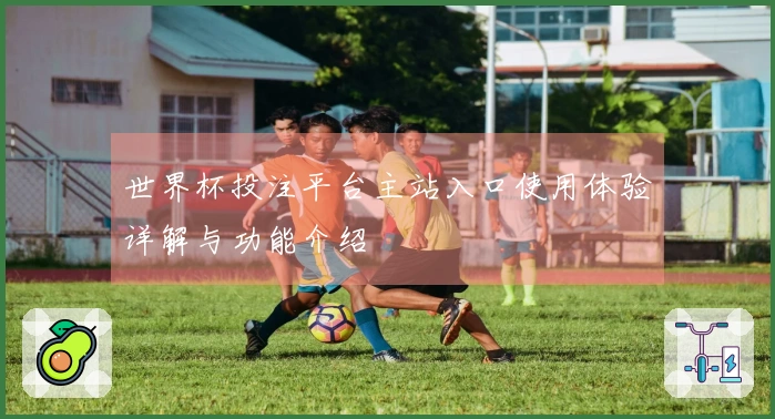 世界杯投注平台主站入口使用体验详解与功能介绍