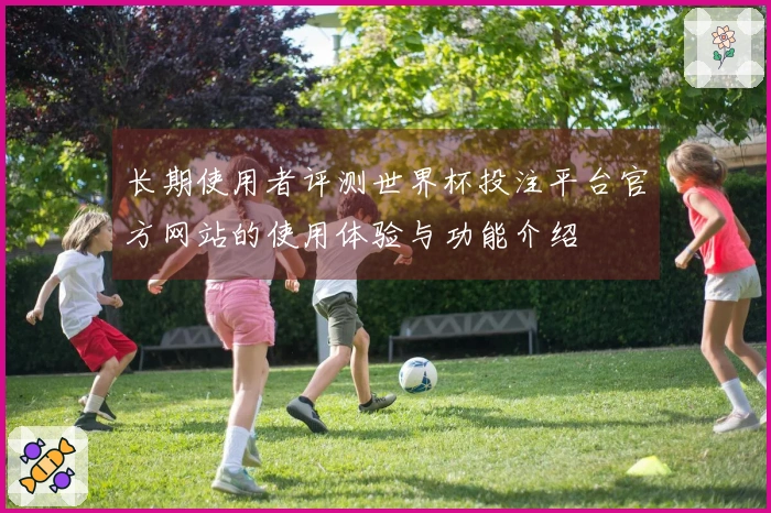 长期使用者评测世界杯投注平台官方网站的使用体验与功能介绍