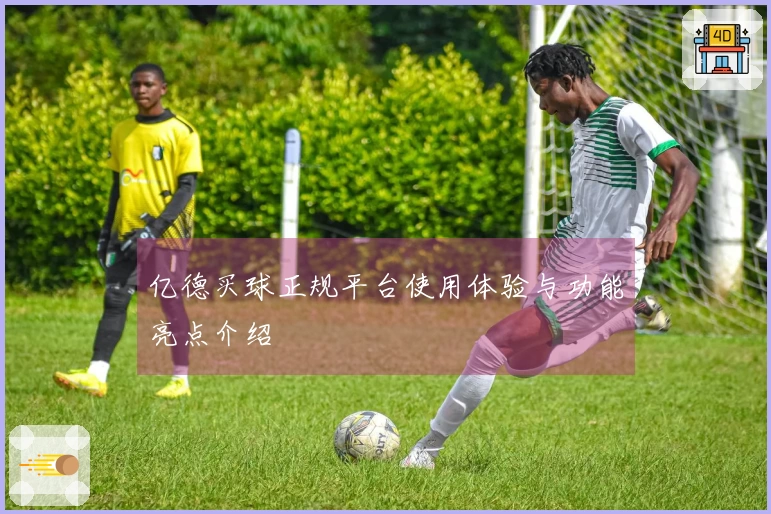 亿德买球正规平台使用体验与功能亮点介绍