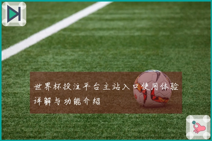 世界杯投注平台主站入口使用体验详解与功能介绍